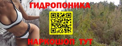альфа пвп Пушкино