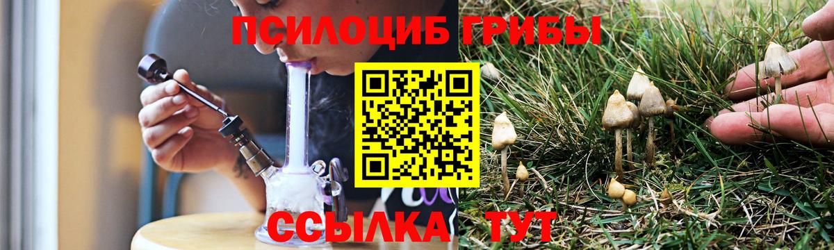 Псилоцибиновые грибы прущие грибы  Галлюциногенные грибы Cubensis  Вход с VPN  Рузаевка 